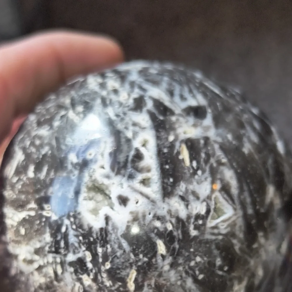 Elegant Gray and White Crystal Geode for Reptile Habitats